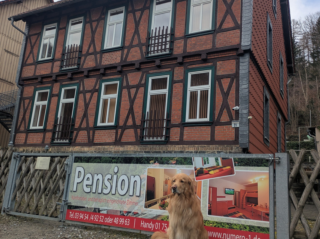 Numero1-pension Und Cafe主图
