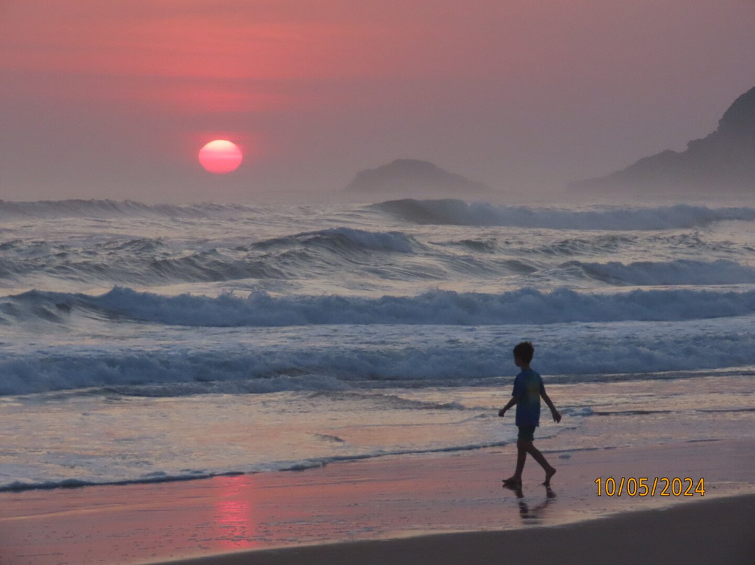 CapeXtreme Adventure Tours-开普敦中心区必去景点