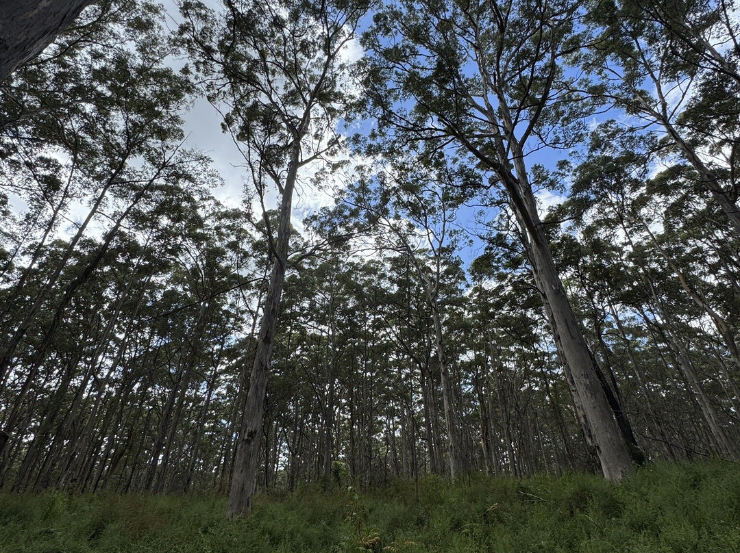 Ecoadventures Margaret River-Boranup必去景点