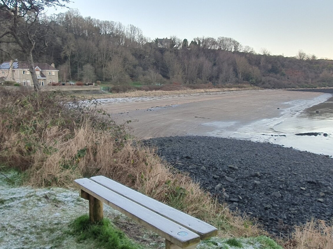 Port Laing Beach-北昆斯费里必去景点