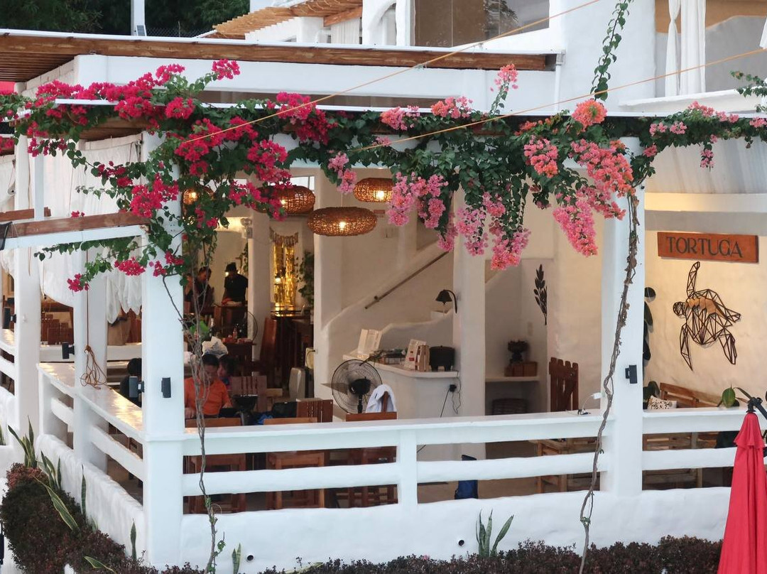 Tortuga Park And Dive Resort