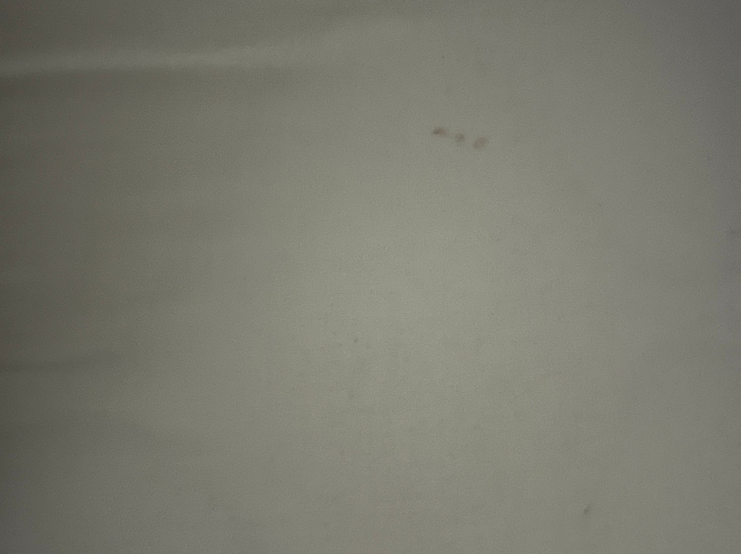 Hotel kafkasya主图