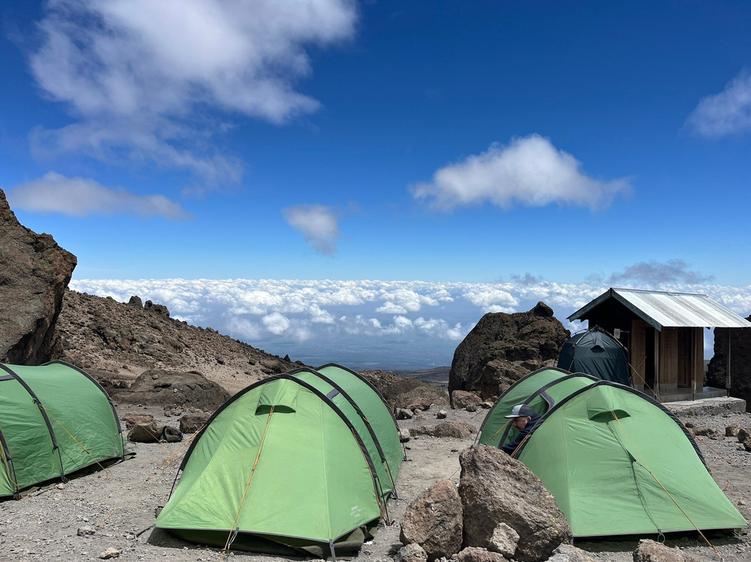 Team Kilimanjaro-阿鲁沙必去景点