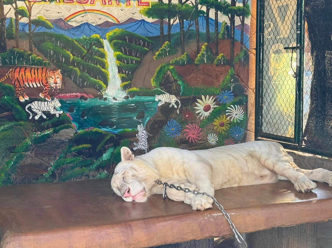 Baluarte Zoo景点图片