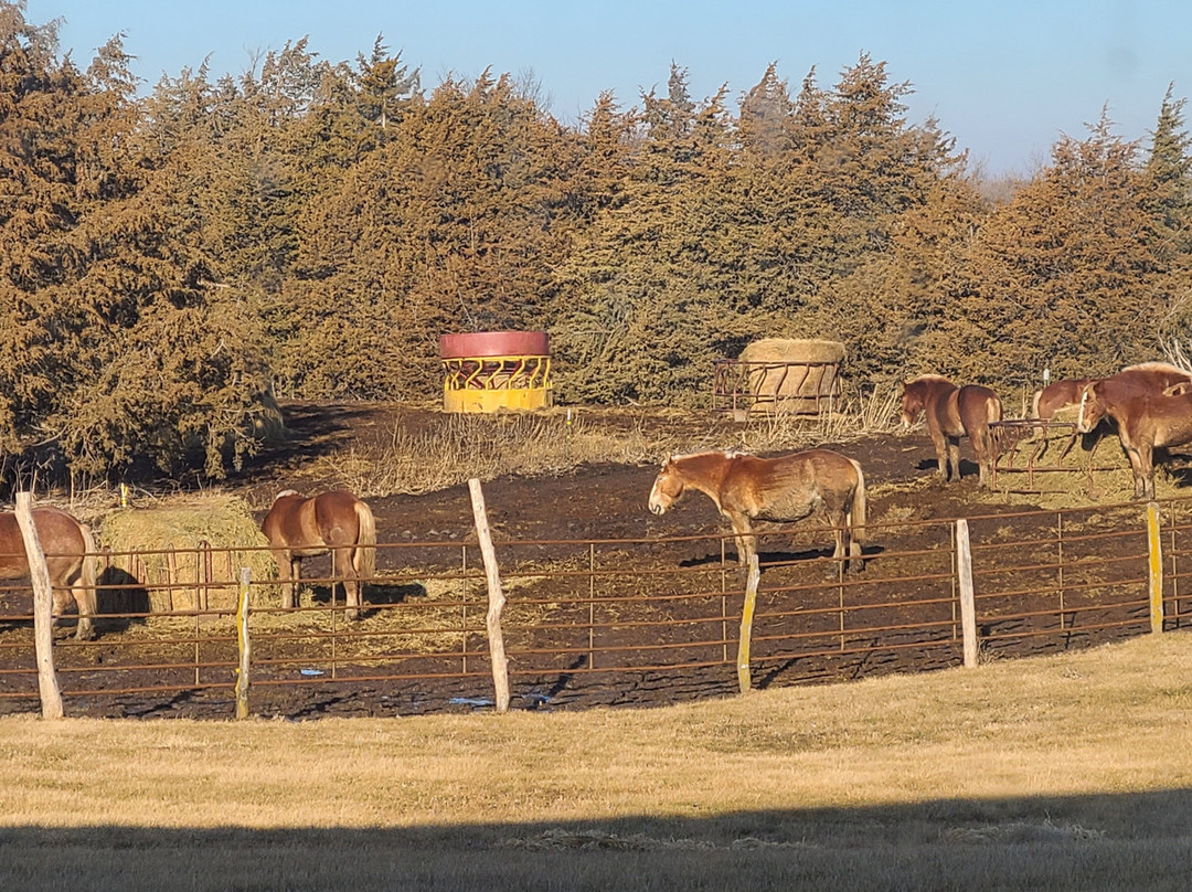 AmericInn by Wyndham Fairfield主图