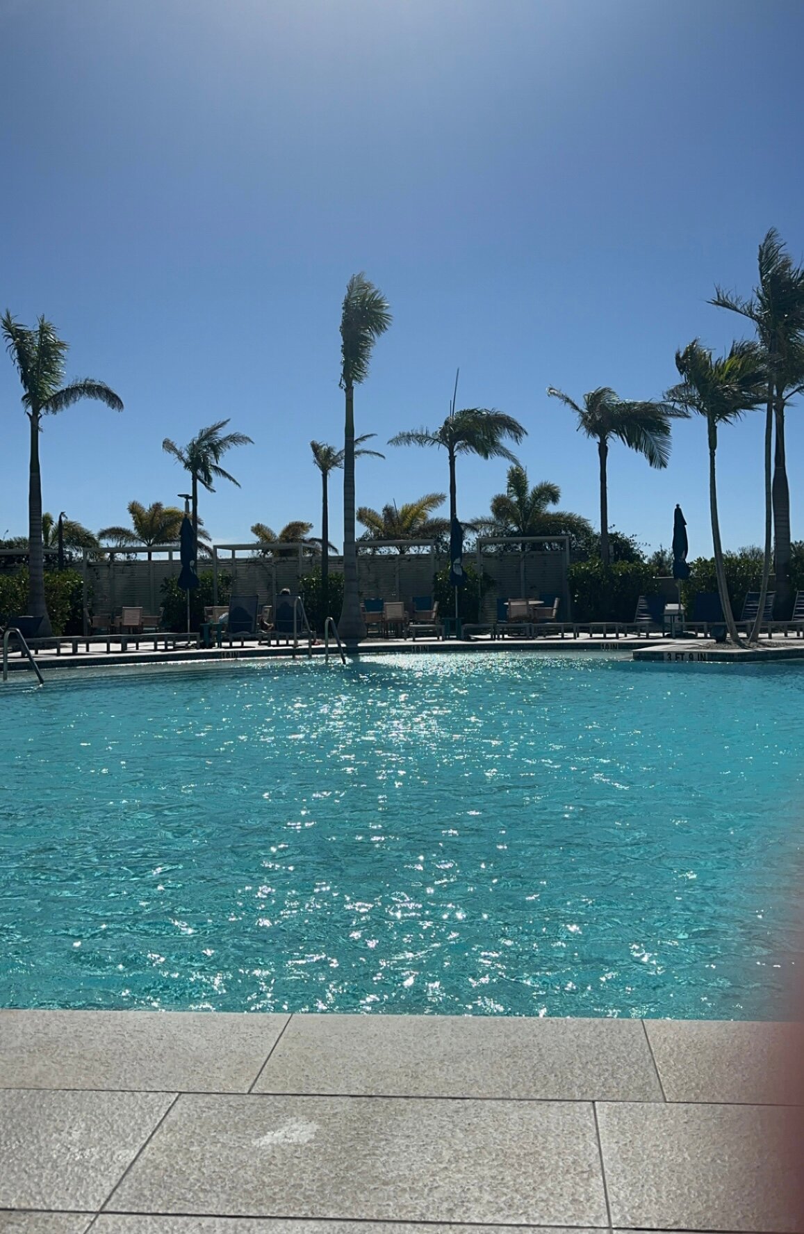 Compass Hotel Anna Maria Sound-泳池