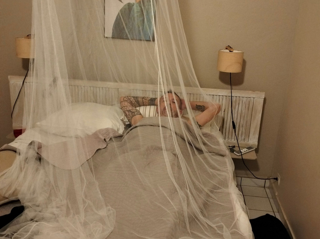 Ti'Village Creole主图