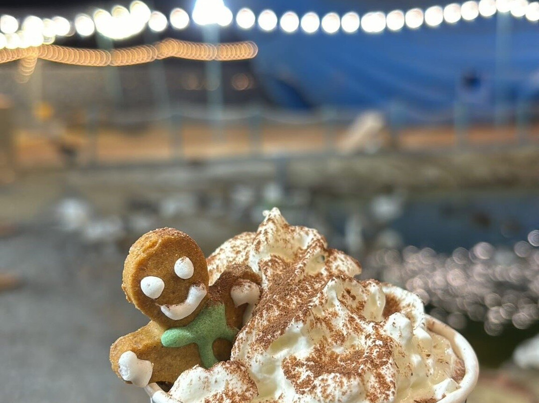 Liwa Beach-哈伊马角必去景点