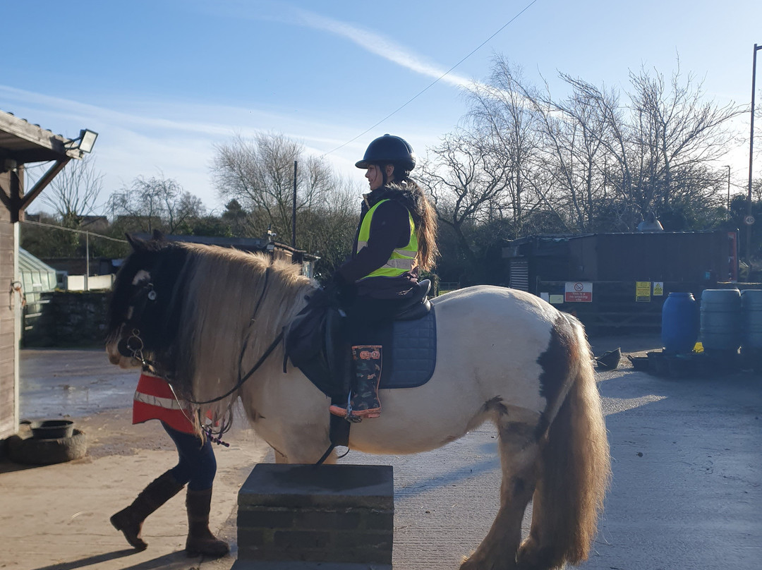 Derbyshire Pony Trekking-Mansfield必去景点