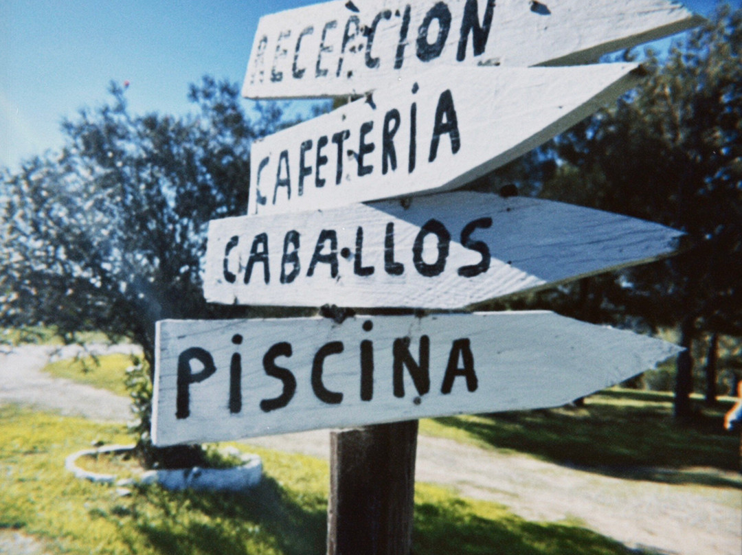 Cortijo Las Piñas主图