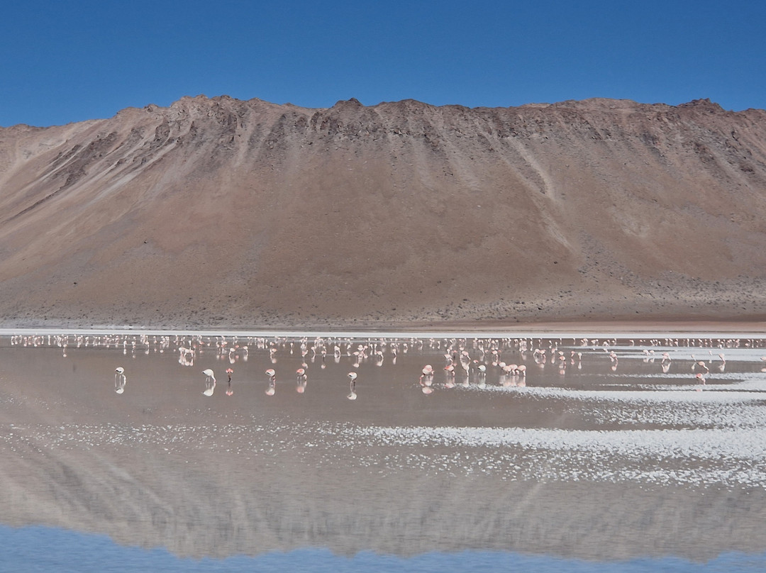 Voy Tours-Tupiza必去景点