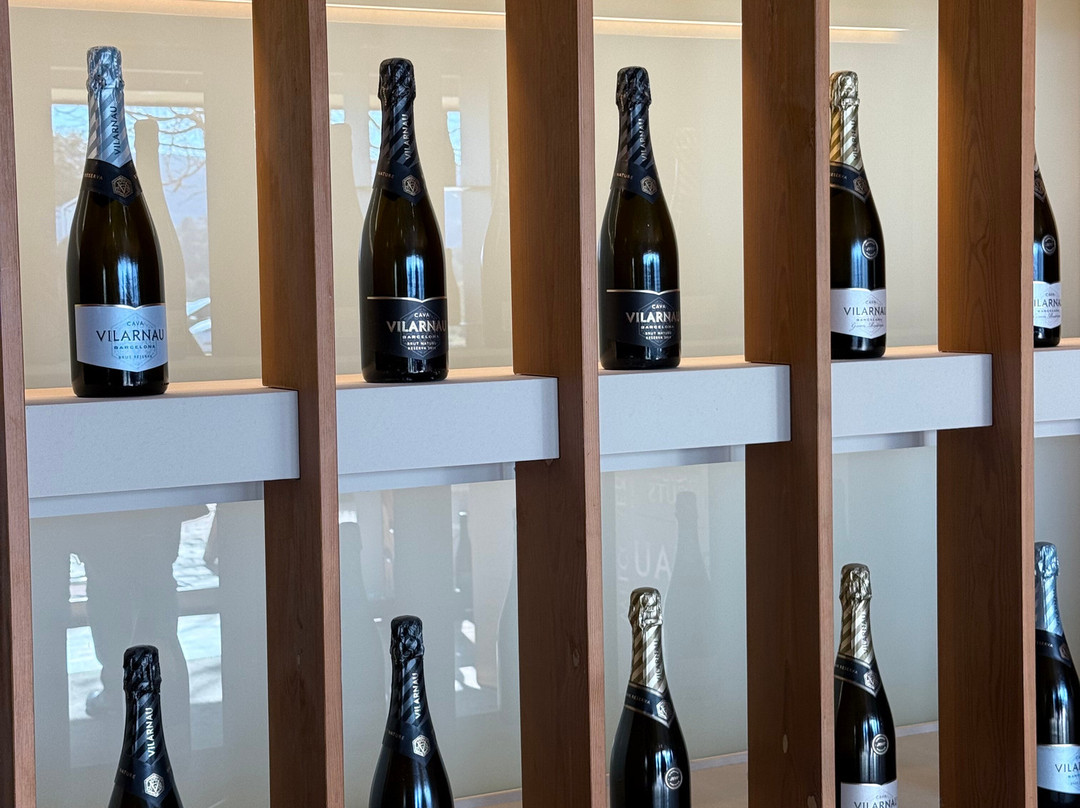 Cava Vilarnau景点图片