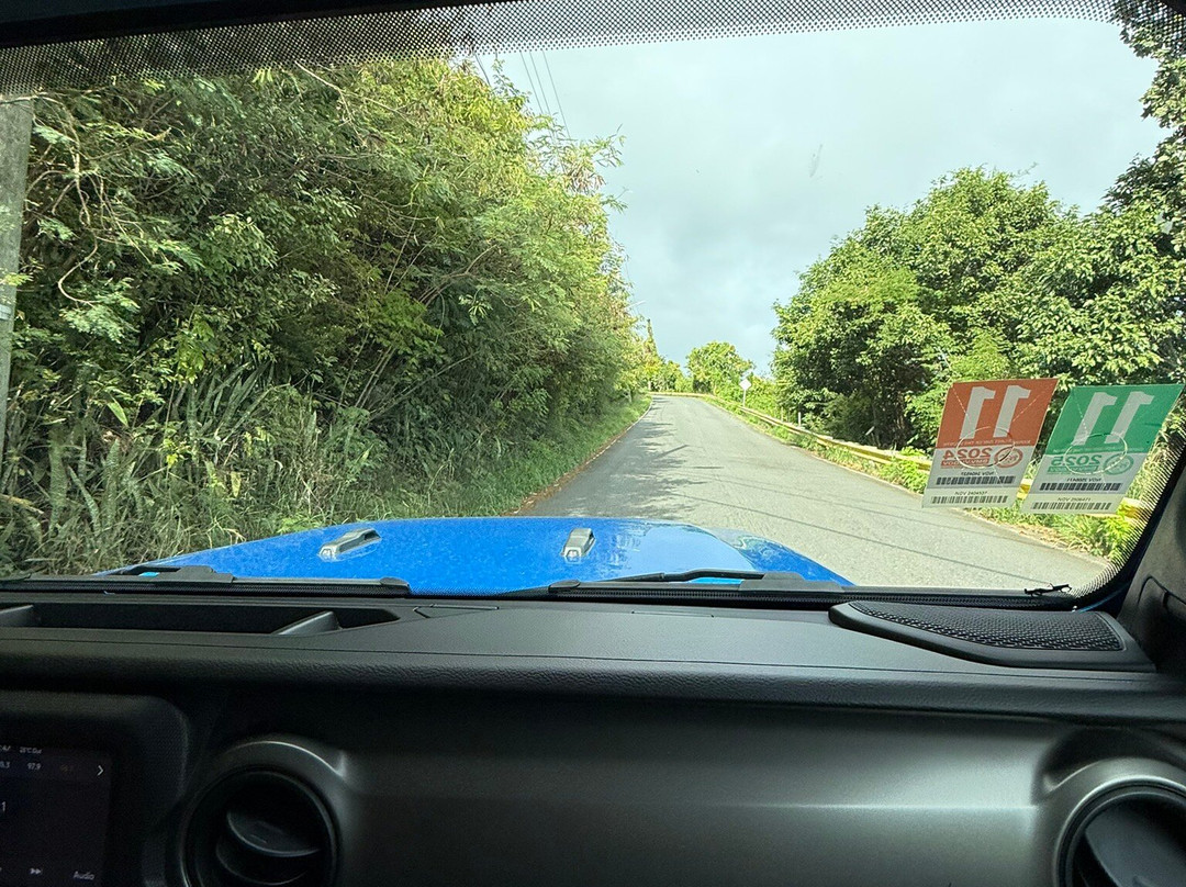 Discount Car Rental-圣 托马斯必去景点