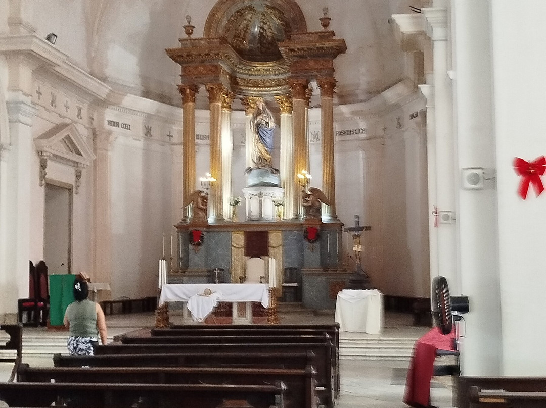 Catedral de la Purísima Concepción景点图片