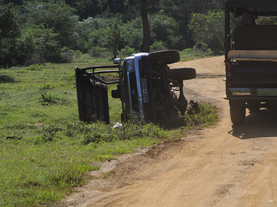 Willpathu National Park Jeep Safari Service景点图片