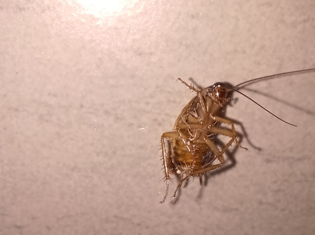 牙买加悦宜湾奢享酒店主图