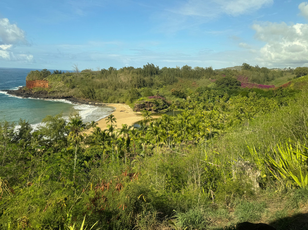 National Tropical Botanical Gardens景点图片
