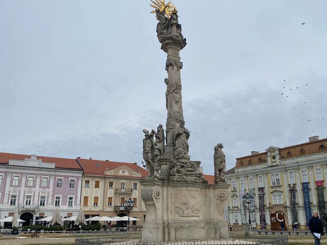Timisoara Free Tours景点图片