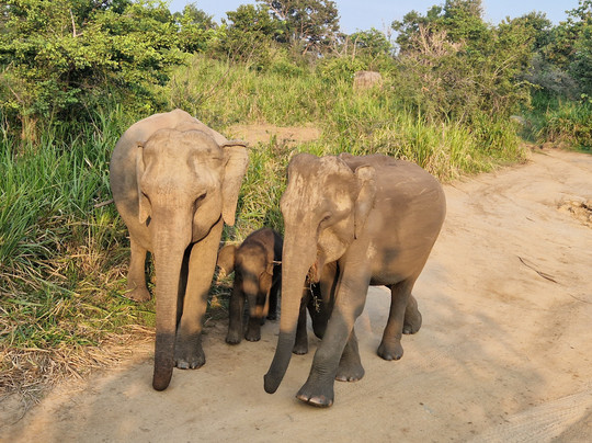 Asia Ceylon-卡卢特勒必去景点
