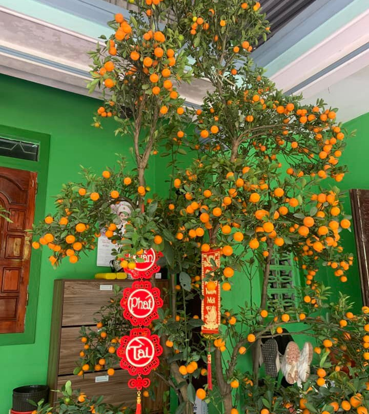 Dong Du Village Responsible Tourism-Nghia Thuan必去景点