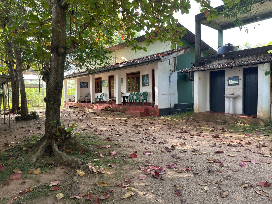 Globetrotter Tourist Inn主图