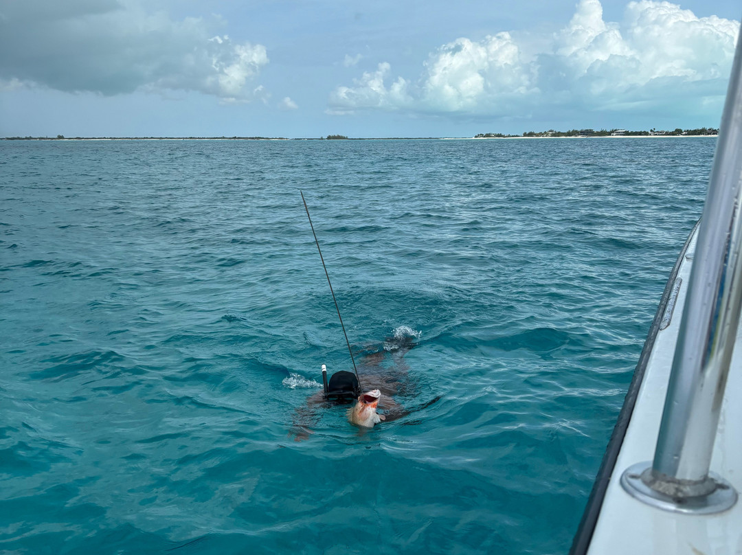 Lady Turkuoise-普罗维登西亚莱斯必去景点