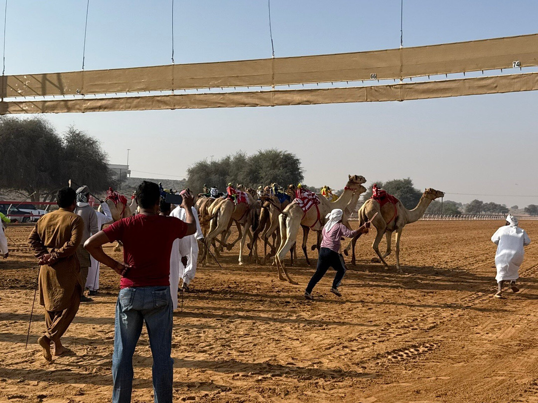 Al Sawan Camel Track-哈伊马角必去景点