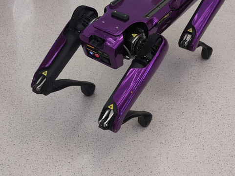 Areeba Tourism-迪拜必去景点