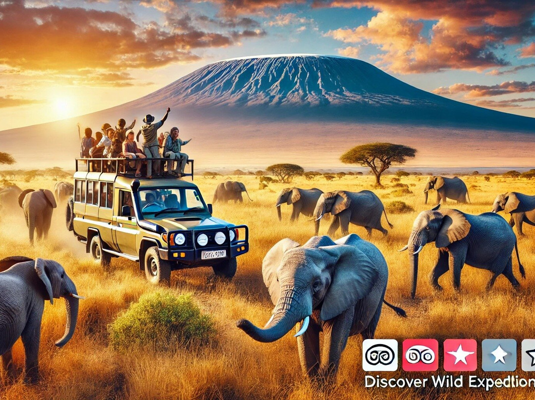 Discover Wild Expeditions