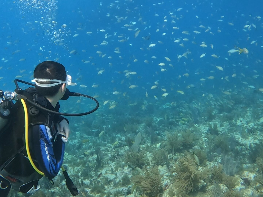 Key Dives-伊斯拉摩拉达必去景点