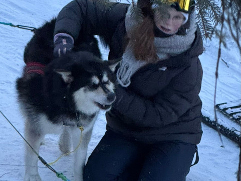 Sluice Box Sled Dogs-费尔班克斯必去景点