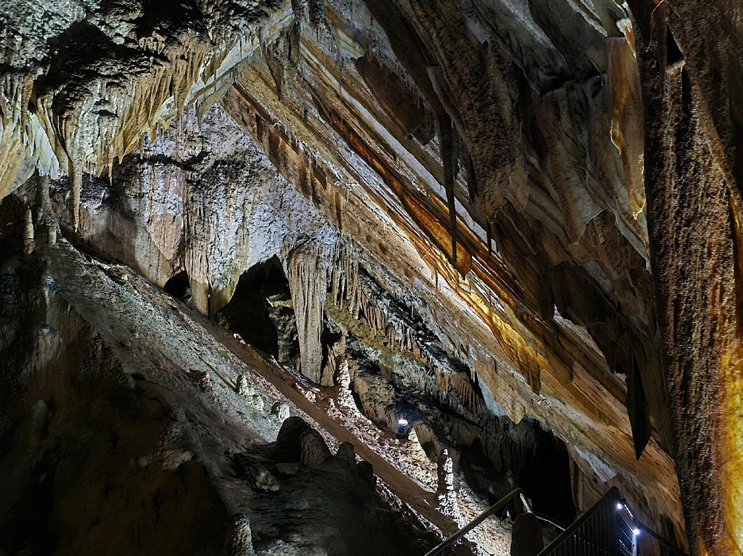 Gunns Plains Caves-Gunns Plains必去景点