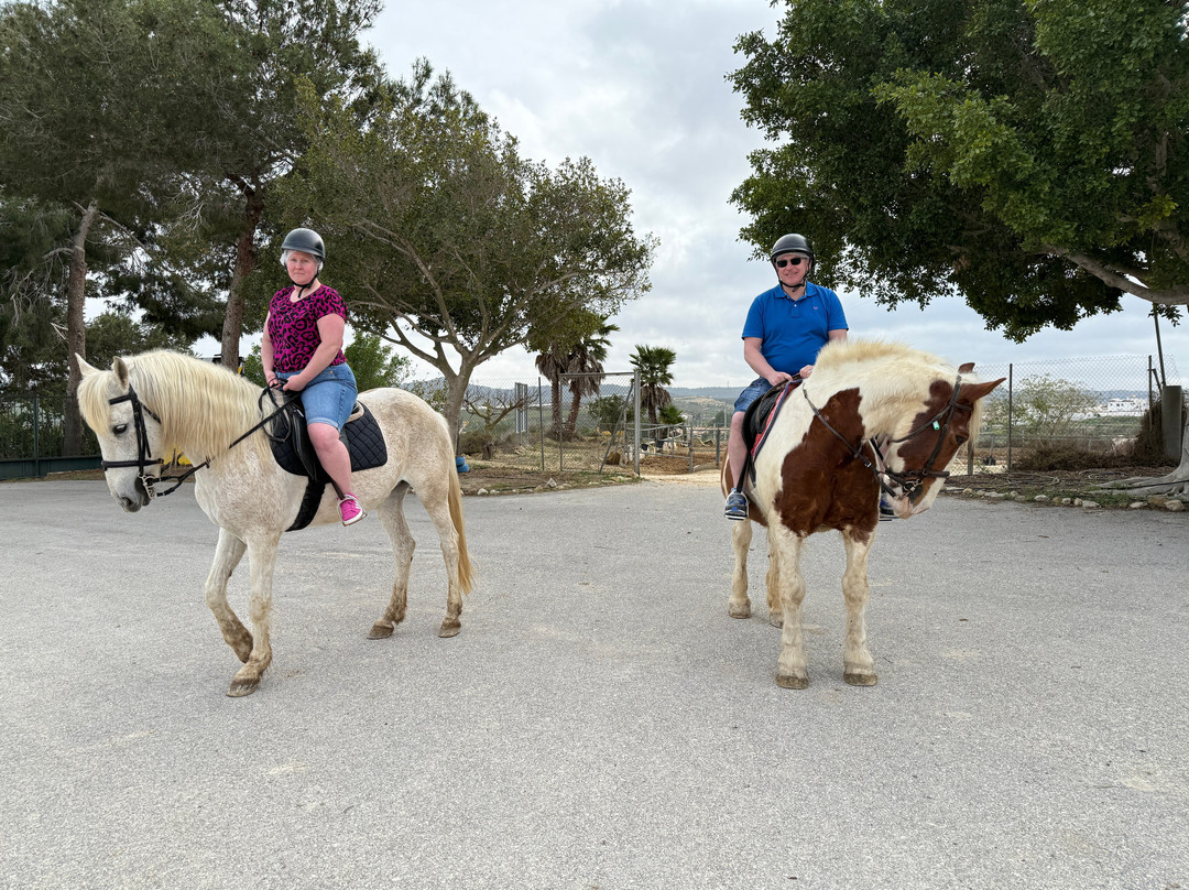 Lo Rufete Adventure Park景点图片