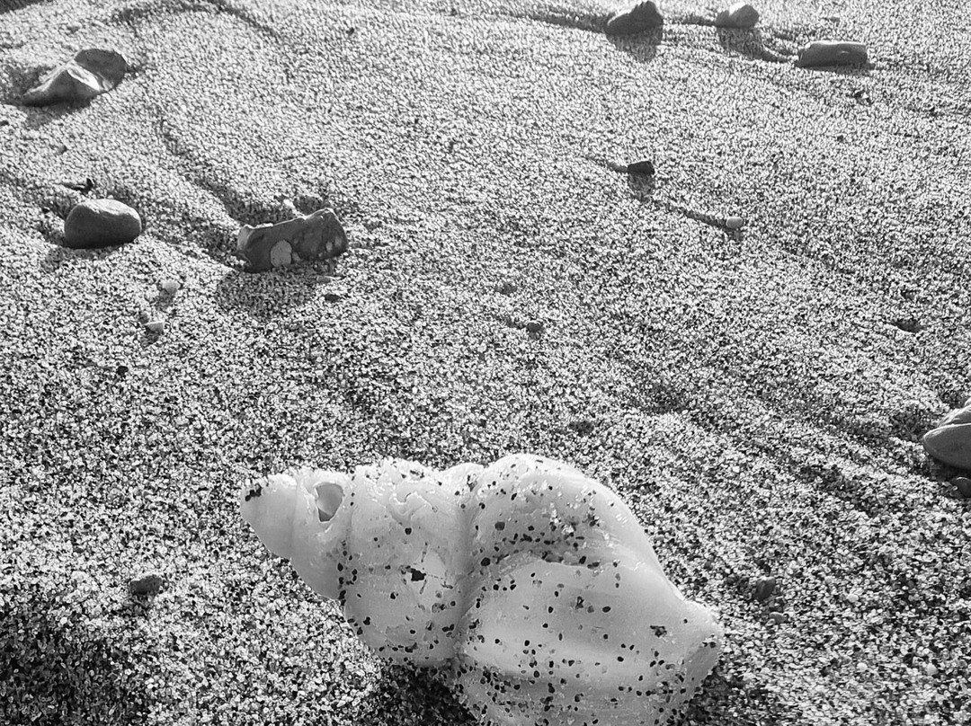Huttoft Car Terrace Beach景点图片