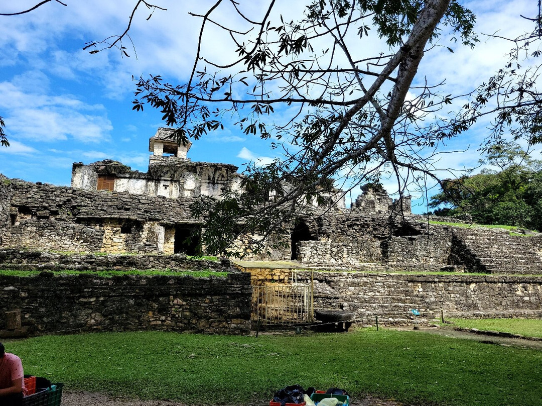 Book Of Mormon Tours