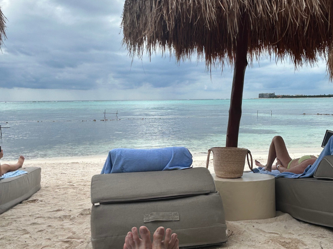 Jashita Hotel Tulum主图