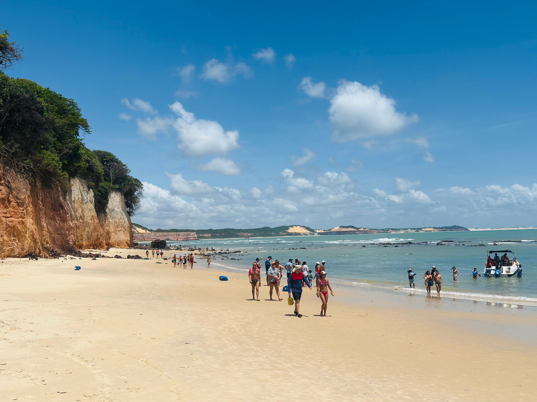 Natal Para Você Passeios景点图片