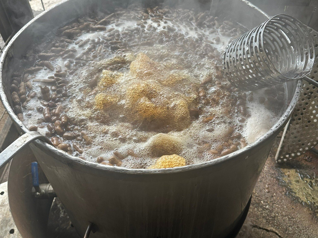 Jaemor Farms-Alto必去景点