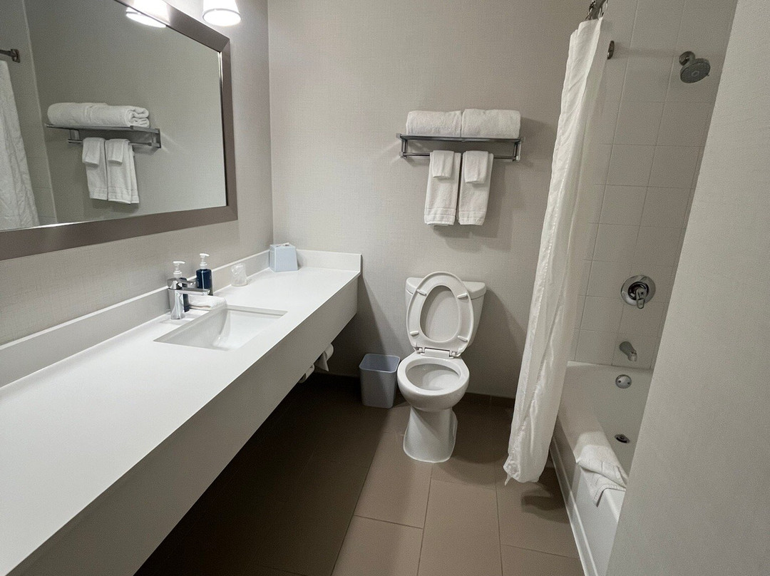 Four Points by Sheraton Pleasanton主图