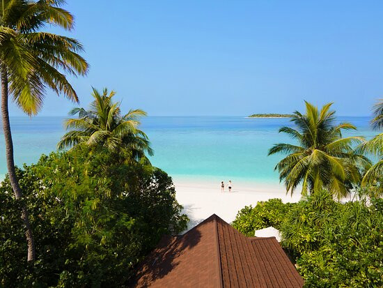 The Standard, Maldives主图