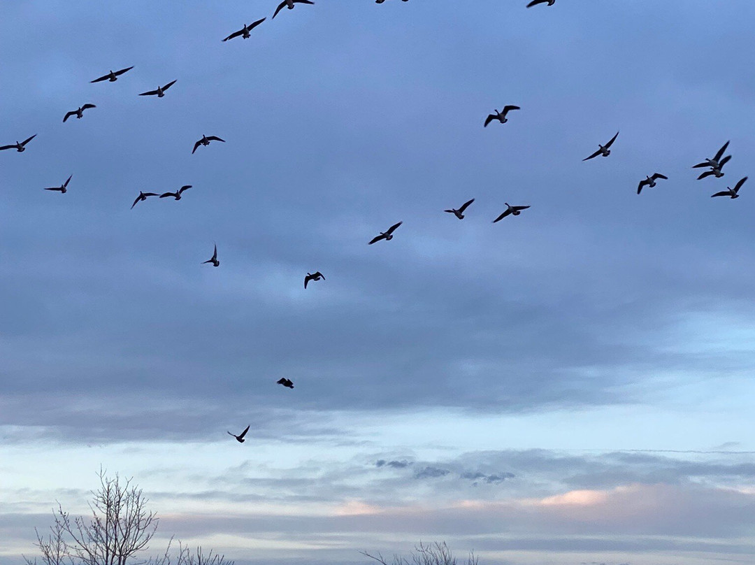 Recreation Park-Pampa必去景点