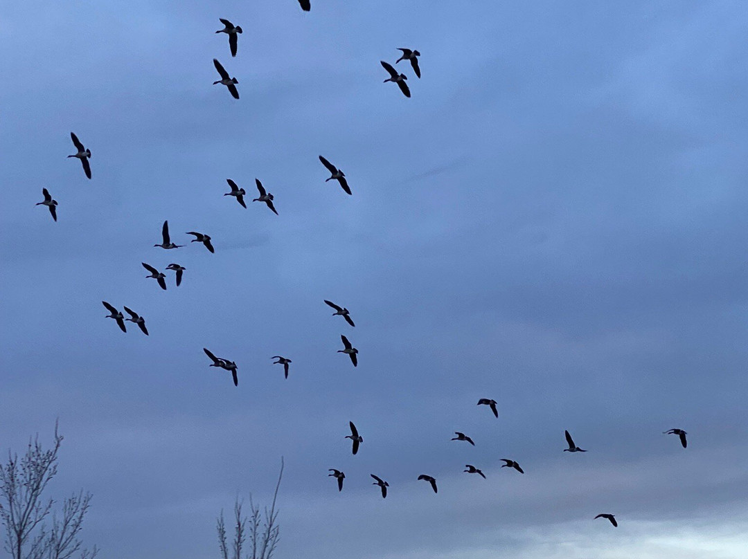 Recreation Park-Pampa必去景点