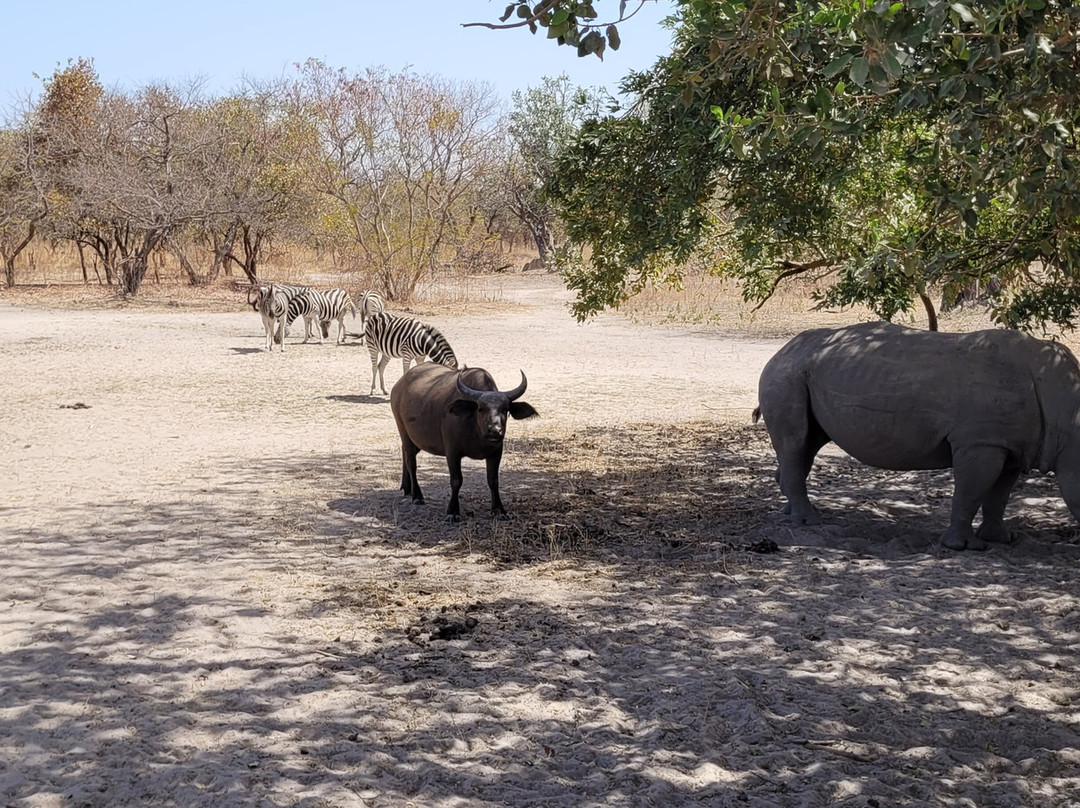 Fathala Wildlife Reserve-Dassilame Ba必去景点