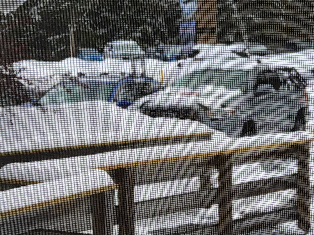 Purity Spring Resort主图