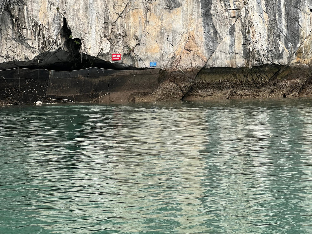 Cat Ba View-卡巴必去景点