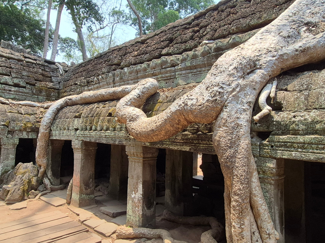 Angkor Guide Adventure (aga)-暹粒必去景点