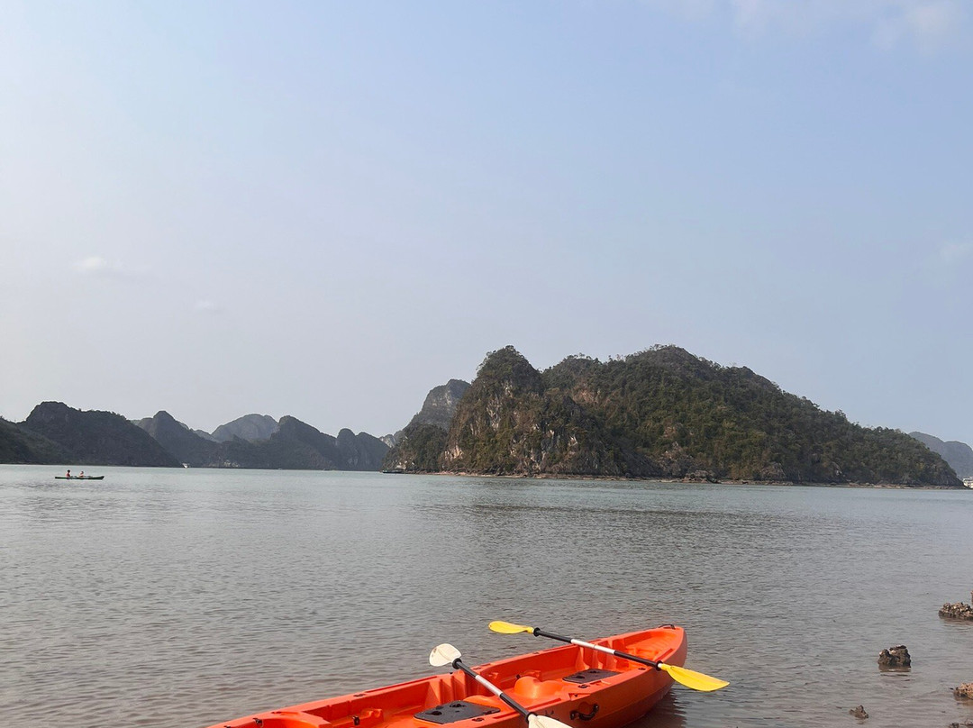Amour Cruise-Ha Long City必去景点