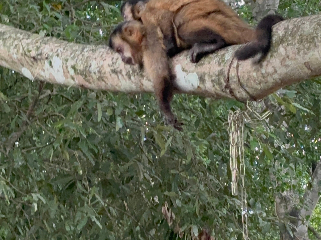 Balneario Municipal-博尼图必去景点
