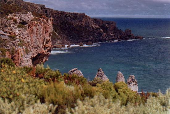 Northcliffe Hotel & Motor Inn主图