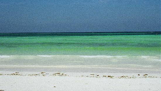 Robinson's Place主图